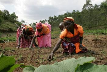agricultura