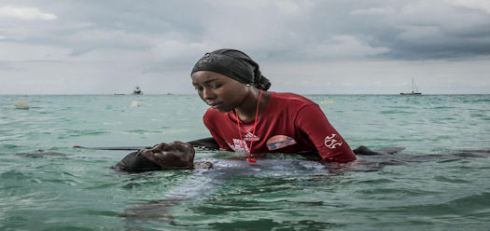 isla_burkini_4_525_248